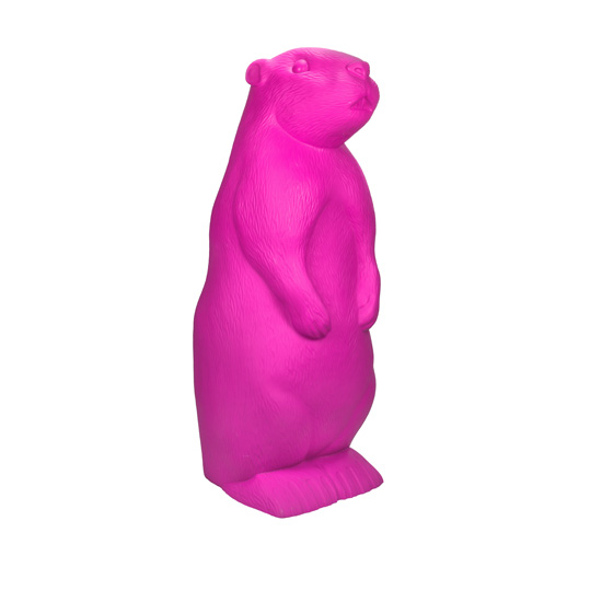 MARMOTTA